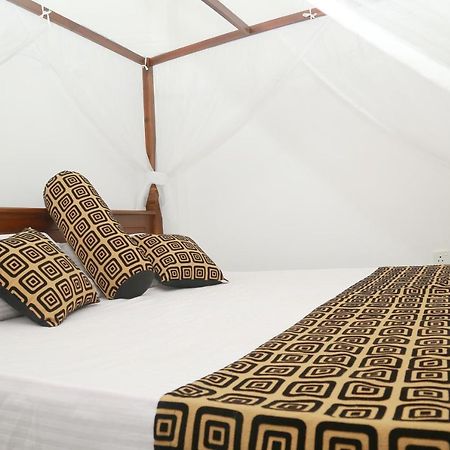 Happy Spring Guest Bed and Breakfast Mirissa Exteriör bild